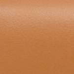 Claudia Camel East West Crossbody