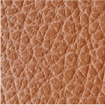 Bella Tan 3-in-1 Convertible Bag